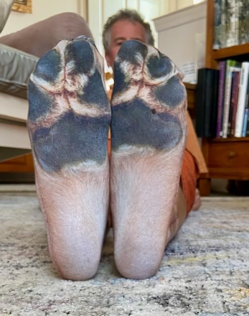 Animal Paws Dog Socks - Funny 3D Animal Socks