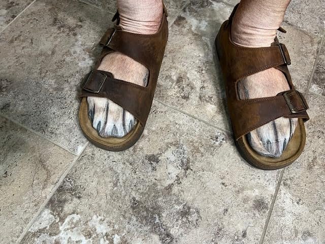 Animal Paws Dog Socks - Funny 3D Animal Socks