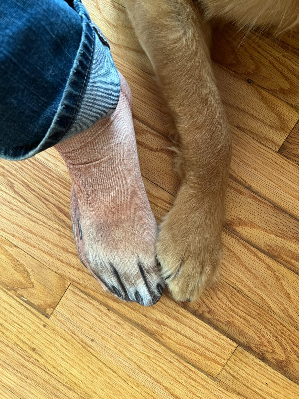 Animal Paws Dog Socks - Funny 3D Animal Socks