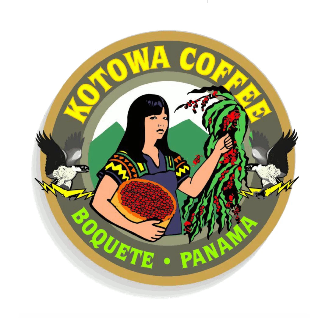 GESHA Kotowa Café – Geisha Las Brujas Natural – Boquete Panamá – Whole Bean 227g