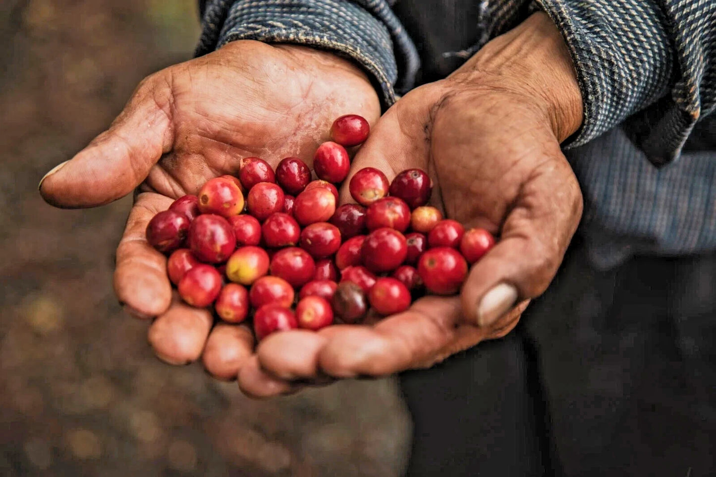 🇵🇦 PANAMA COFFEE DURÁN CAFÉ PURO MOLIDO EXTRAFINO 425g Extra-fine ground ☕️🌱✈