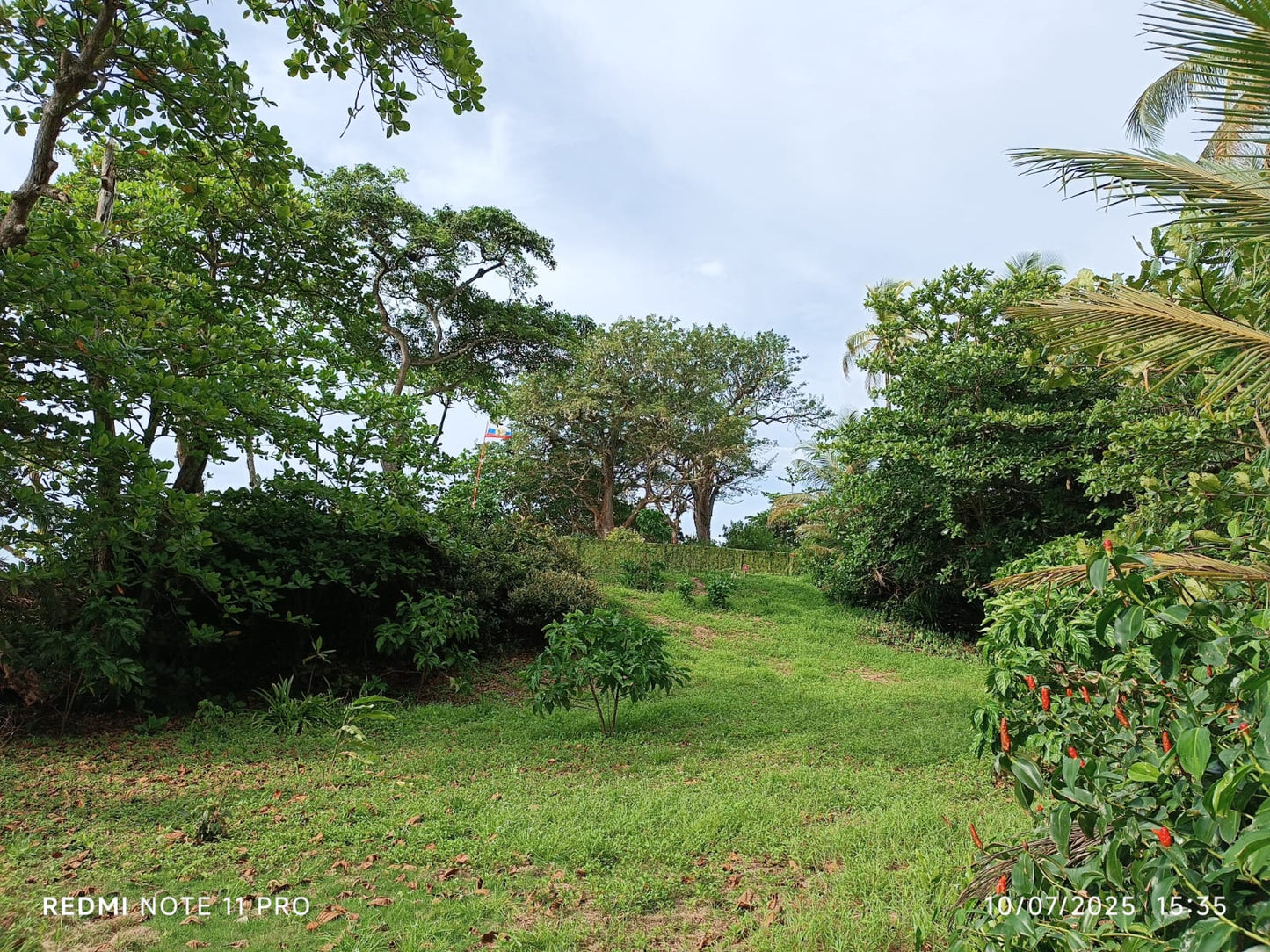 Camo-Leo™ Woodland Recon Netting 1.5x6M – Tactical Camo Shade Military Camouflage