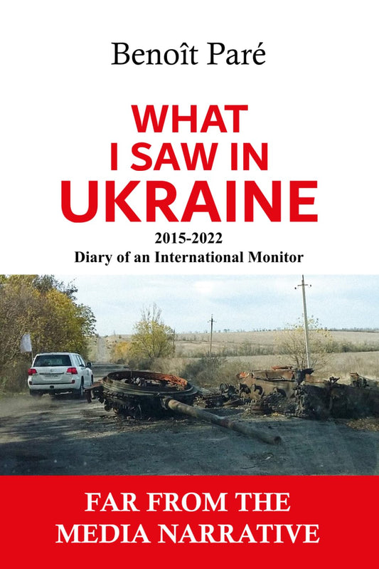 What I Saw in Ukraine: 2015-2022 - Diary of an International Observer Paperback