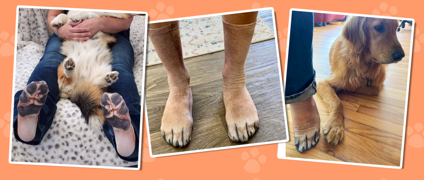 Animal Paws Dog Socks - Funny 3D Animal Socks