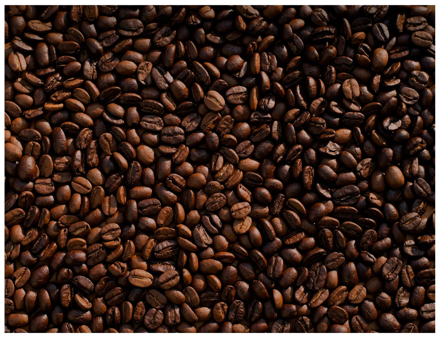 GESHA Kotowa Café – Geisha Las Brujas Natural – Boquete Panamá – Whole Bean 227g